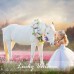 Tarsus Hypoallergenic Unicorn Earrings for Girls Women, Lovely Unicorn Jewelry for Daughter Granddaughter Birthday Gifts-Tar-606 Unicorn Earrings-A (Simple) Tarsus Hypoallergenic Unicorn Earrings for Girls Women, Lovely Unicorn Jewelry for Daughter Granddaughter Birthday Gifts-Tar-606 Unicorn Earrings-A (Simple)